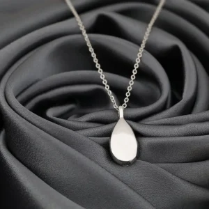 MadamLili Urn As Crematie Dierenas Zilveren RVS Ketting - Personaliseerbaar met GRAVURE.